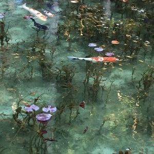 Meet your Posher, Dew